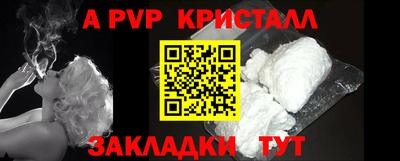 jwh Кингисепп
