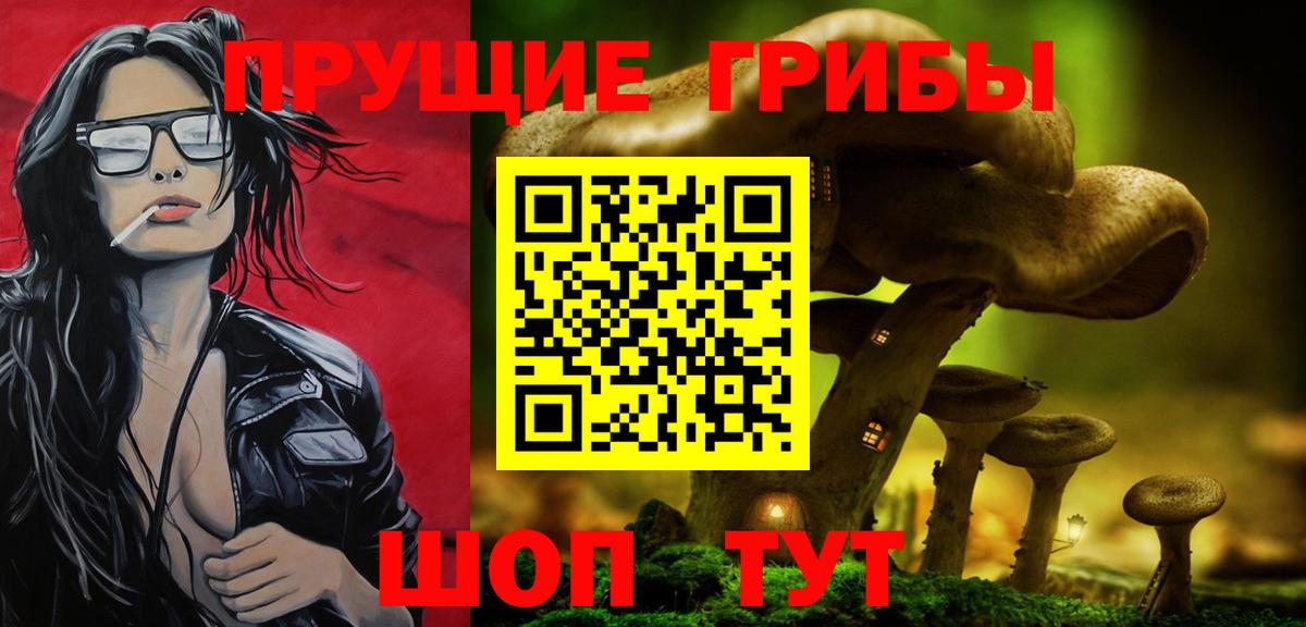 Галлюциногенные грибы прущие грибы  Вход с VPN  Крымск  Псилоцибиновые грибы Psilocybine cubensis 